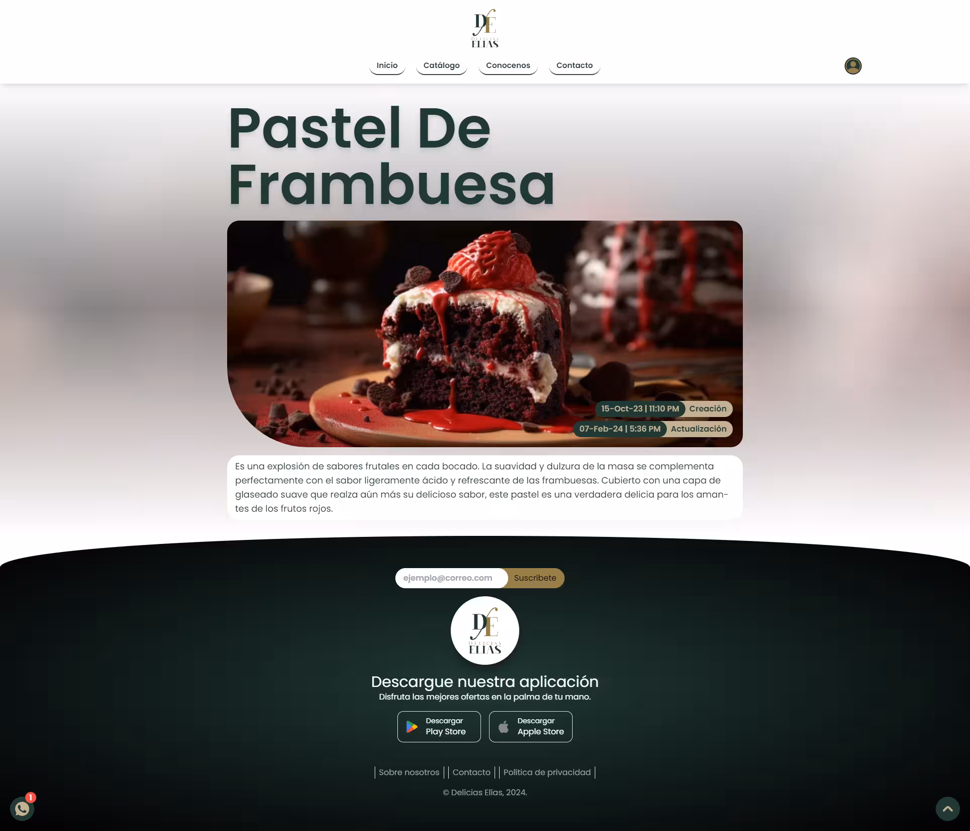 projecto Galería 27